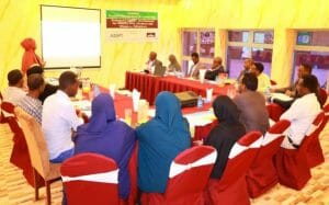 Training enhancing Diaspora impact